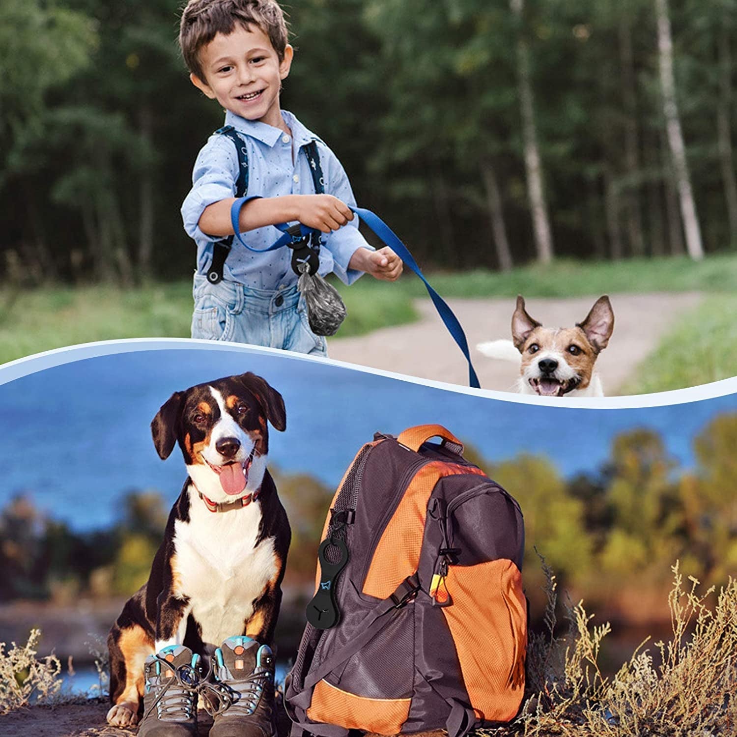 All Dog Products