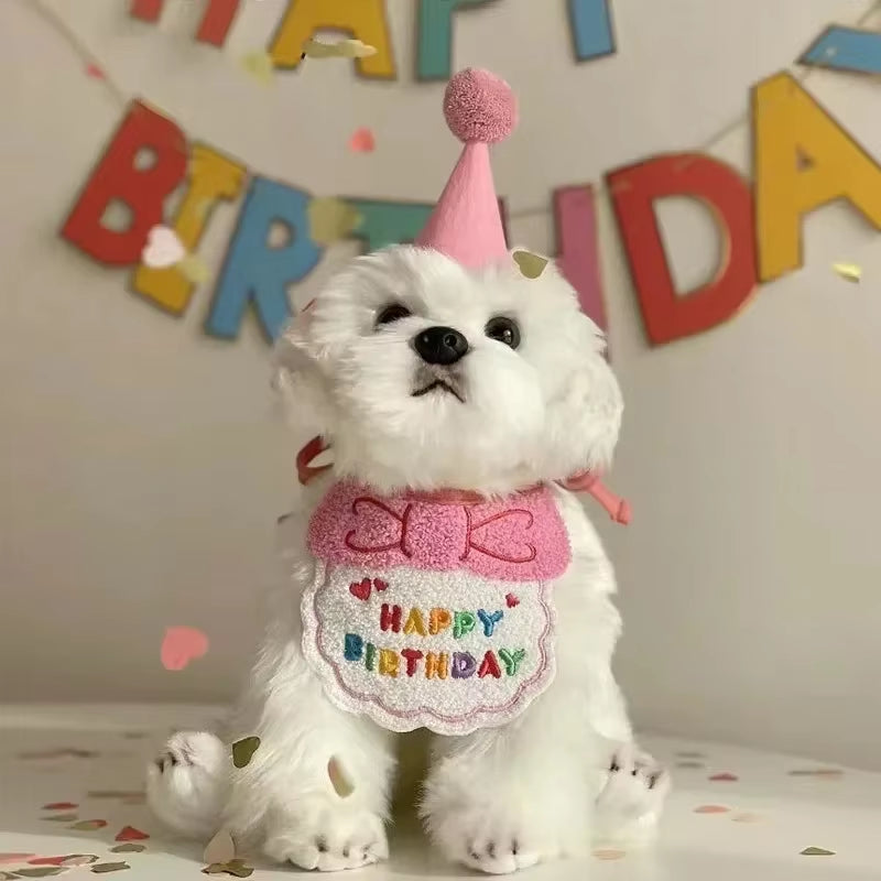 Party and Celebration