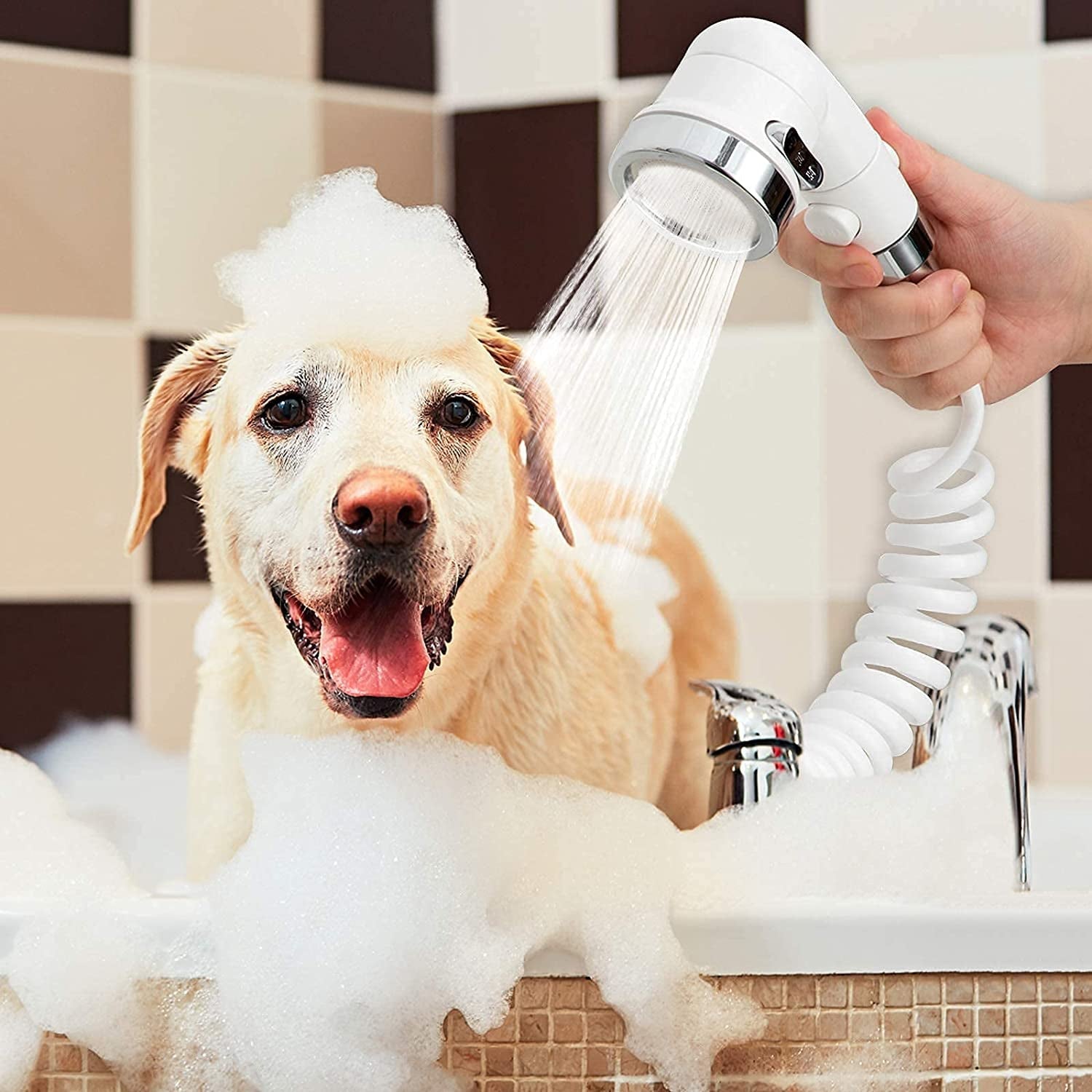 Pet Grooming Products