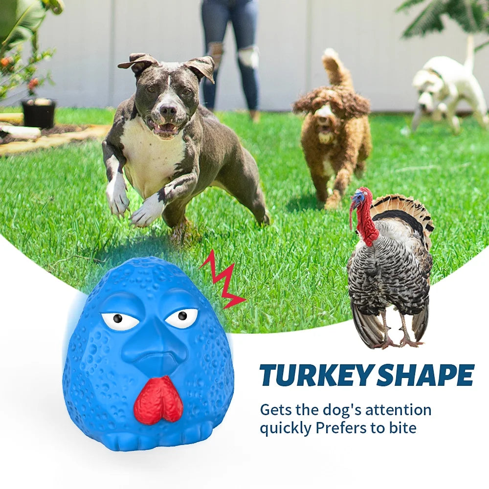 All dog toys