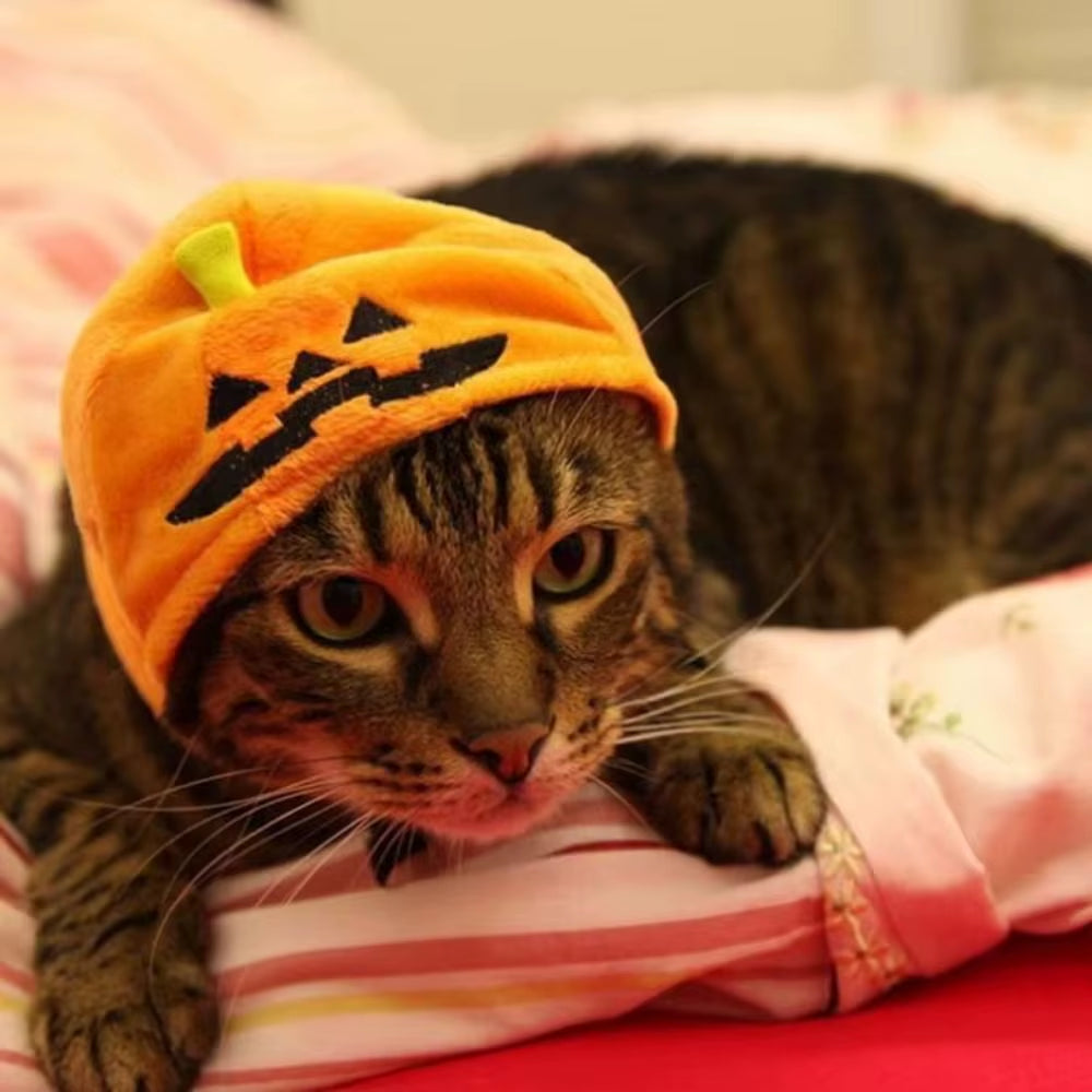 Cute Dress up Pet Halloween Hat Cosplay Costume Headdress Pumpkin Dogs Hat Soft Cozy Plush Cat Headgear Costume