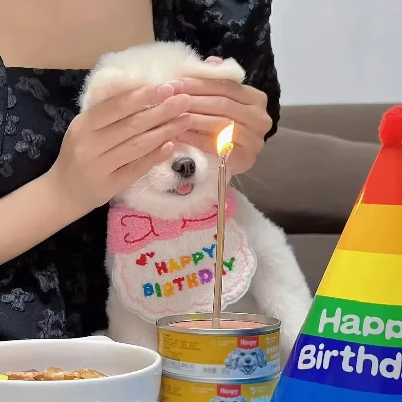 1Set Cute Puppy Kitten Birthday Hat and Scarf Dog Hat Scarf Pet Birthday Supplies Cat and Dog Accessories
