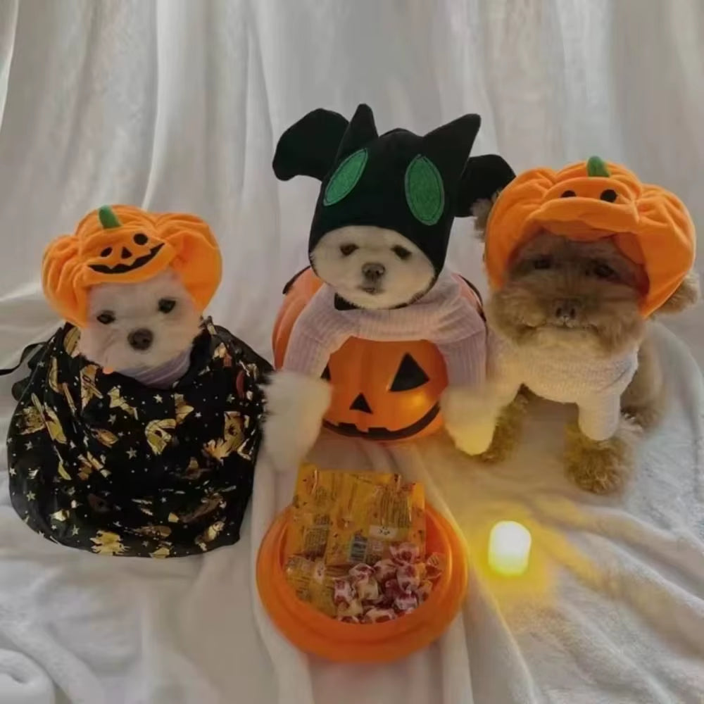 Cute Dress up Pet Halloween Hat Cosplay Costume Headdress Pumpkin Dogs Hat Soft Cozy Plush Cat Headgear Costume