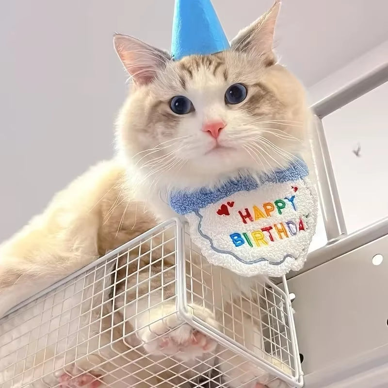 1Set Cute Puppy Kitten Birthday Hat and Scarf Dog Hat Scarf Pet Birthday Supplies Cat and Dog Accessories
