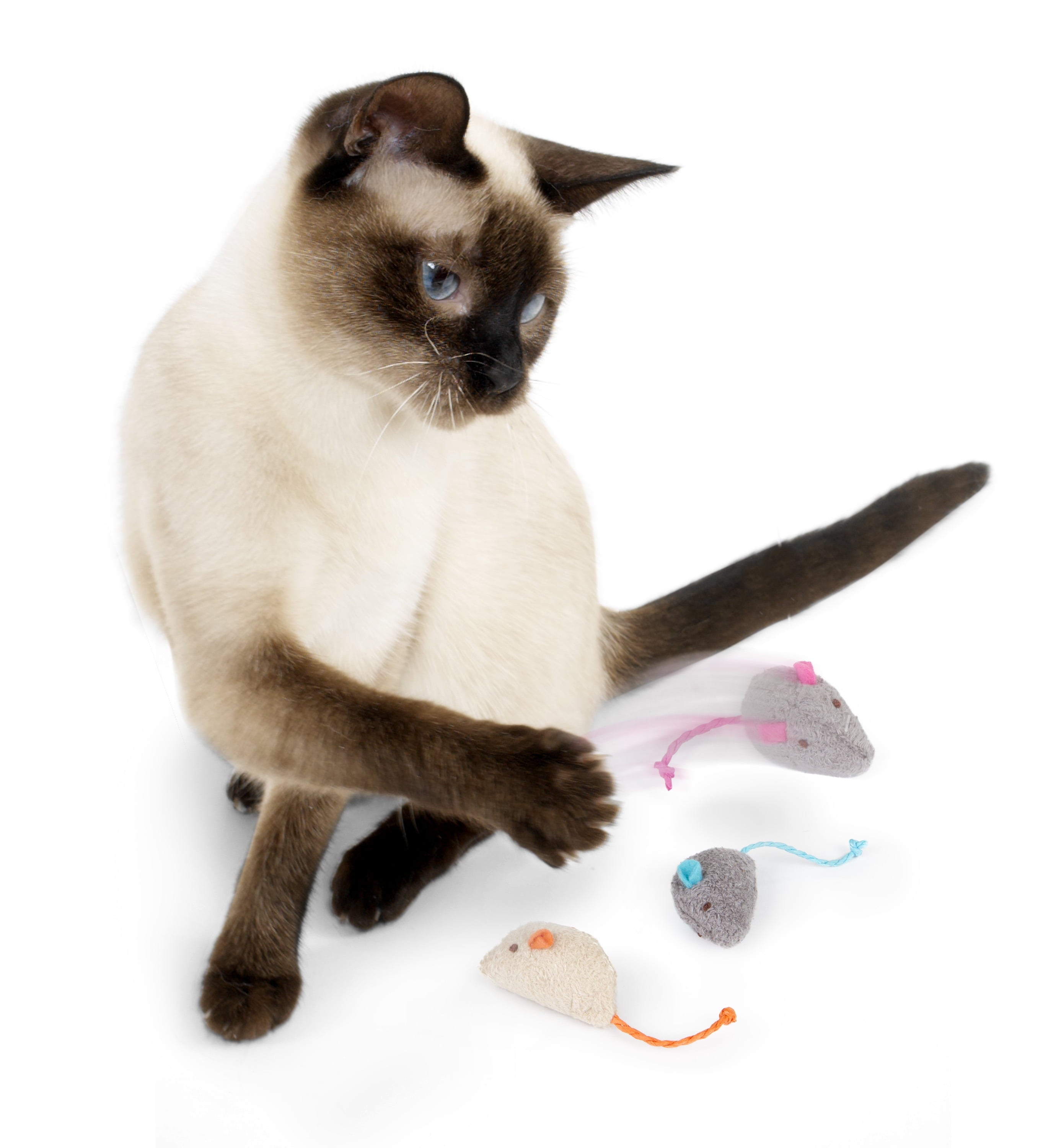 Skitter Critters Value Pack, Soft Plush Catnip Filled Mice Cat Toys, 10 Count