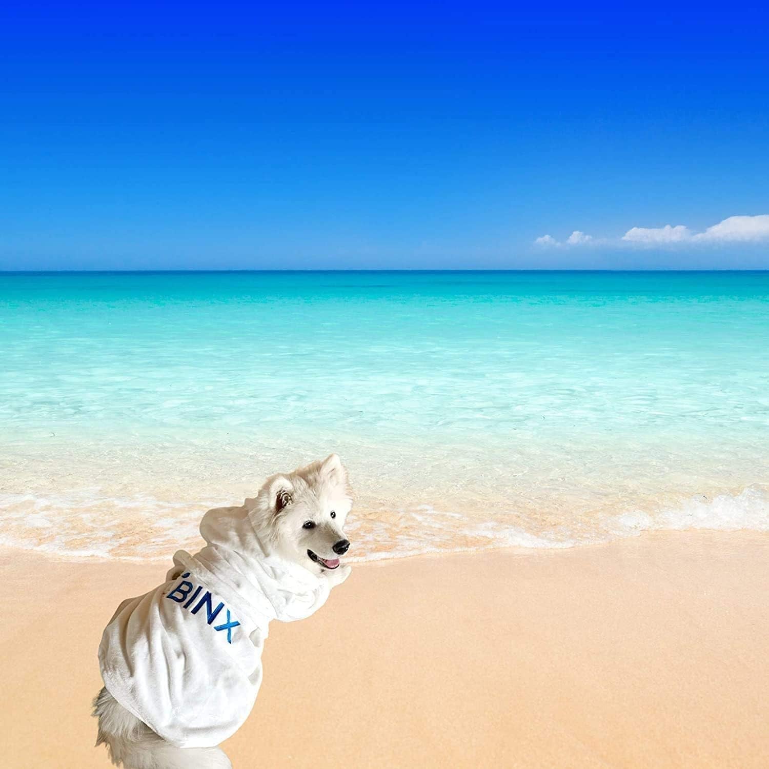 Small Dog Bathrobe Absorbent Towels - Use Dog Pajamas after Your Dog Shower, Tub or Beach - Dog Robe Can Be Used as a Dog Blanket, Sweater or for Dog Gifts - Great Puppy Sweater or Towel (Small Dog-S)