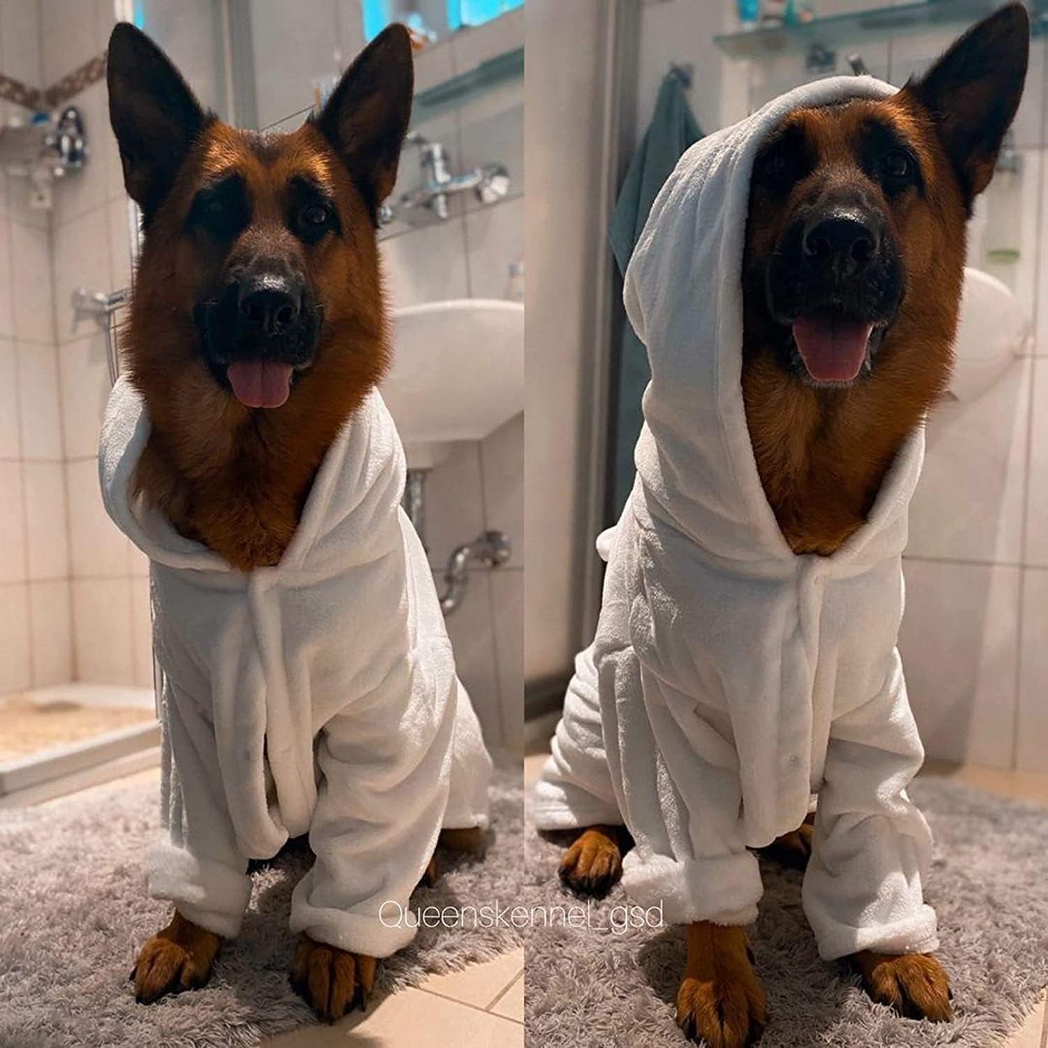 Small Dog Bathrobe Absorbent Towels - Use Dog Pajamas after Your Dog Shower, Tub or Beach - Dog Robe Can Be Used as a Dog Blanket, Sweater or for Dog Gifts - Great Puppy Sweater or Towel (Small Dog-S)