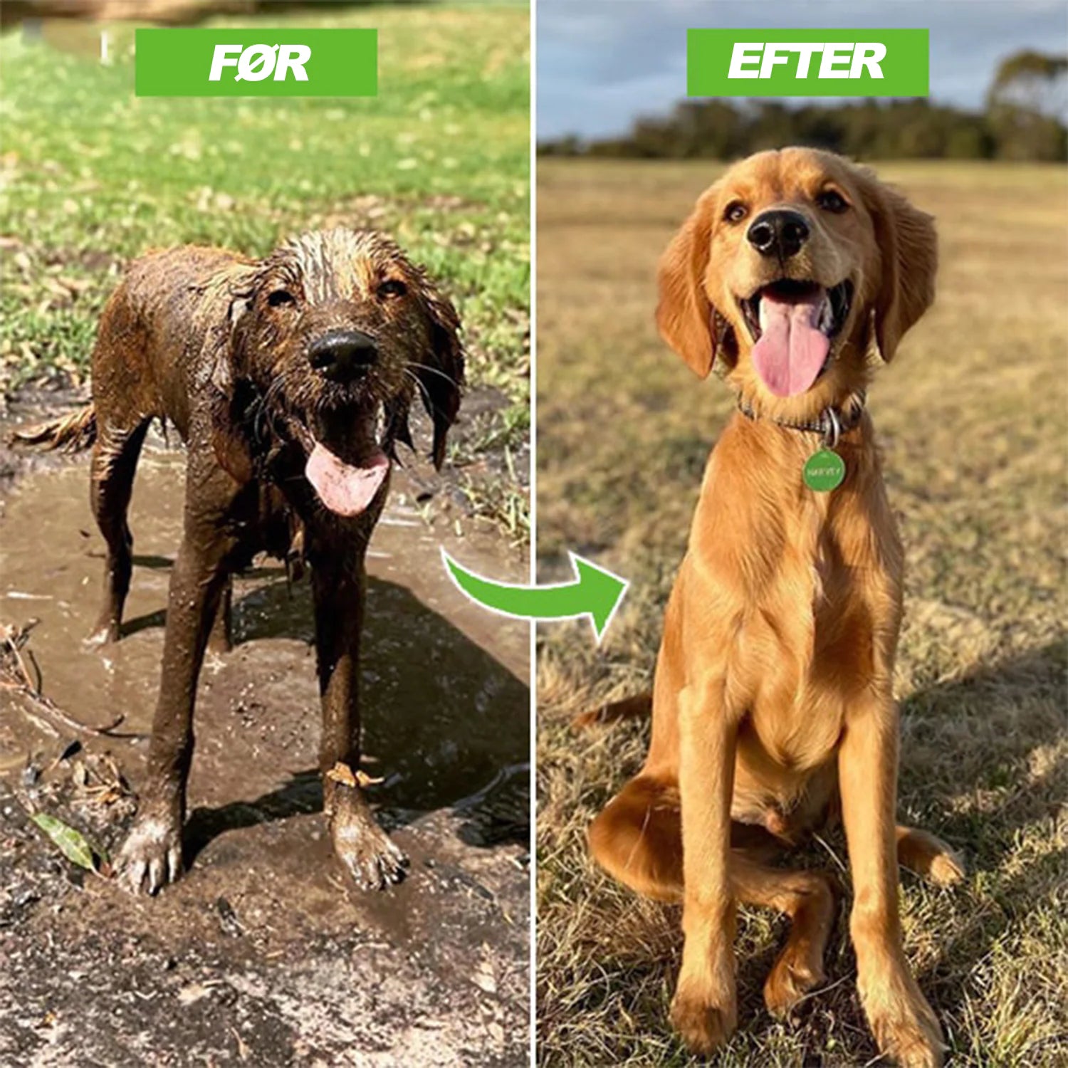 Dog Shower Jet Attachment...